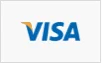 visa payment badge