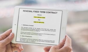 renewal of fixed term contract